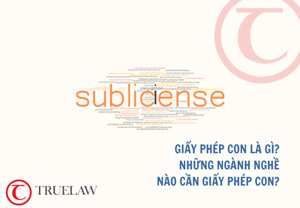 Giấy phép con là gì? Những ngành nghề nào cần giấy phép con?