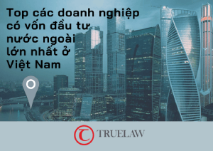 Top các doanh nghiệp có vốn đầu tư nước ngoài lớn nhất ở Việt Nam