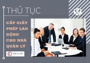 Thủ tục xin cấp giấy phép lao động cho nhà quản lý
