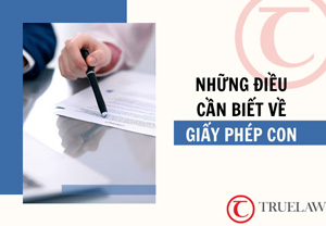 Những điều cần biết về giấy phép con