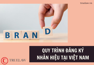 Quy trình đăng ký nhãn hiệu tại Việt Nam
