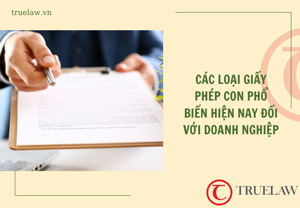 Các giấy phép con phổ biến hiện nay đối với doanh nghiệp