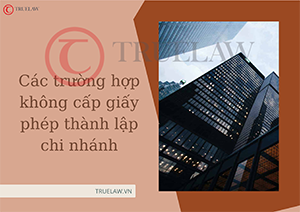 Các trường hợp không cấp giấy phép thành lập chi nhánh