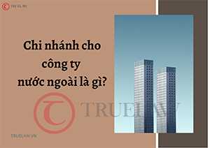 Chi nhánh cho công ty nước ngoài là gì?
