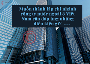 Muốn thành lập chi nhánh công ty nước ngoài ở Việt Nam cần đáp ứng những điều kiện gì?
