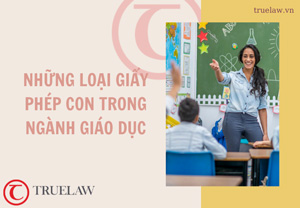 Những loại giấy phép con trong lĩnh vực giáo dục