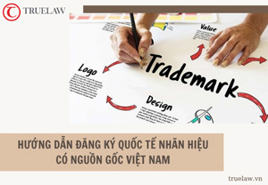 Hướng dẫn đăng ký quốc tế nhãn hiệu có nguồn gốc Việt Nam
