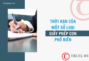 Thời hạn của một số loại giấy phép con phổ biến