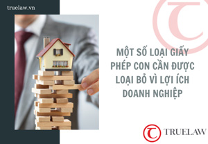 Một số loại giấy phép con cần được loại bỏ vì lợi ích doanh nghiệp