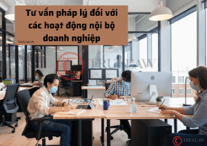 Tư vấn pháp lý đối với các hoạt động nội bộ doanh nghiệp