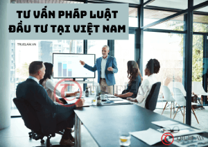 Tư vấn pháp luật đầu tư tại Việt Nam