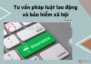 Tư vấn pháp luật lao động và bảo hiểm xã hội