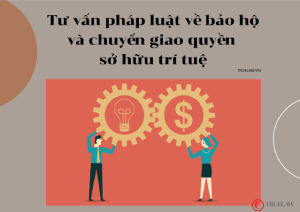 Tư vấn pháp luật về bảo hộ và chuyển giao quyền sở hữu trí tuệ