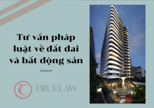 Tư vấn pháp luật về đất đai và bất động sản