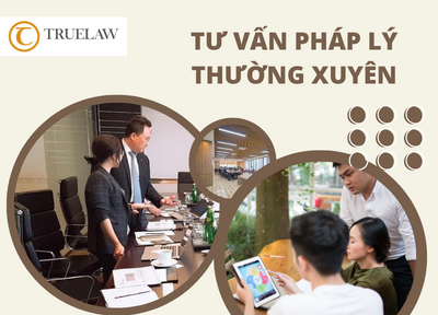 Tư vấn pháp lý thường xuyên